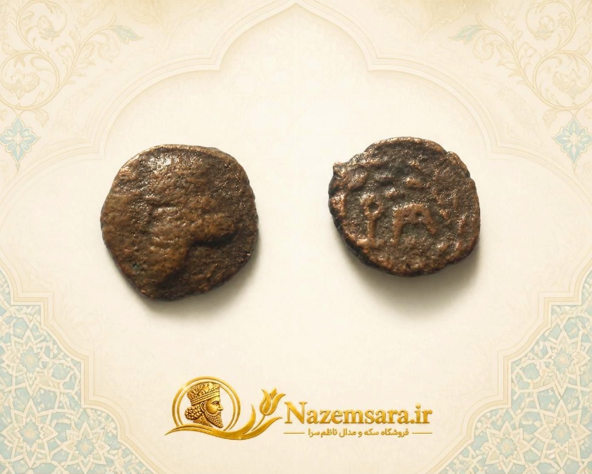 فلوس بسیار زبر و زنده کالکون اشکانی