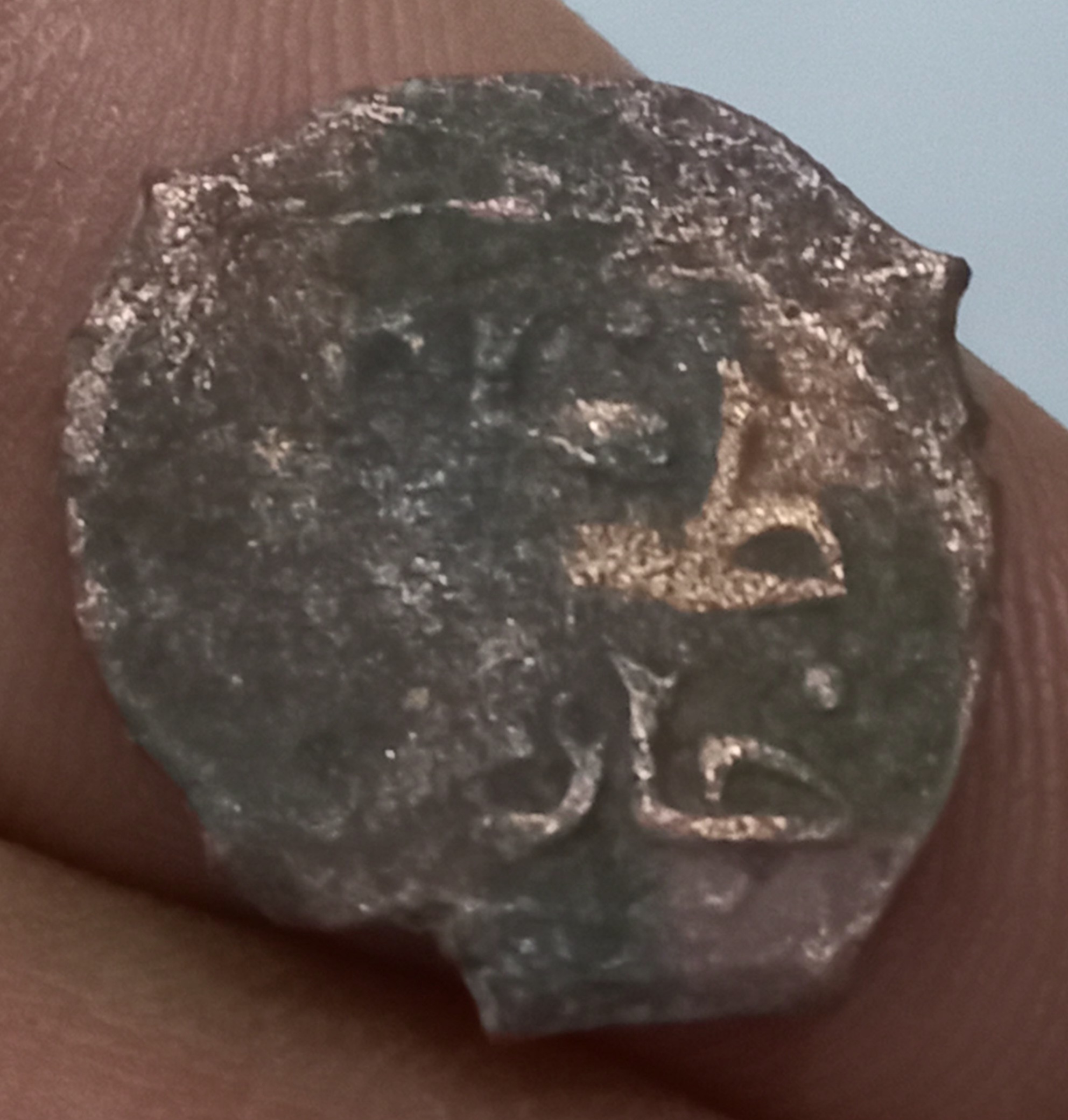 فلوس طغا تیمور ایلخان مغول با نقش پرنده