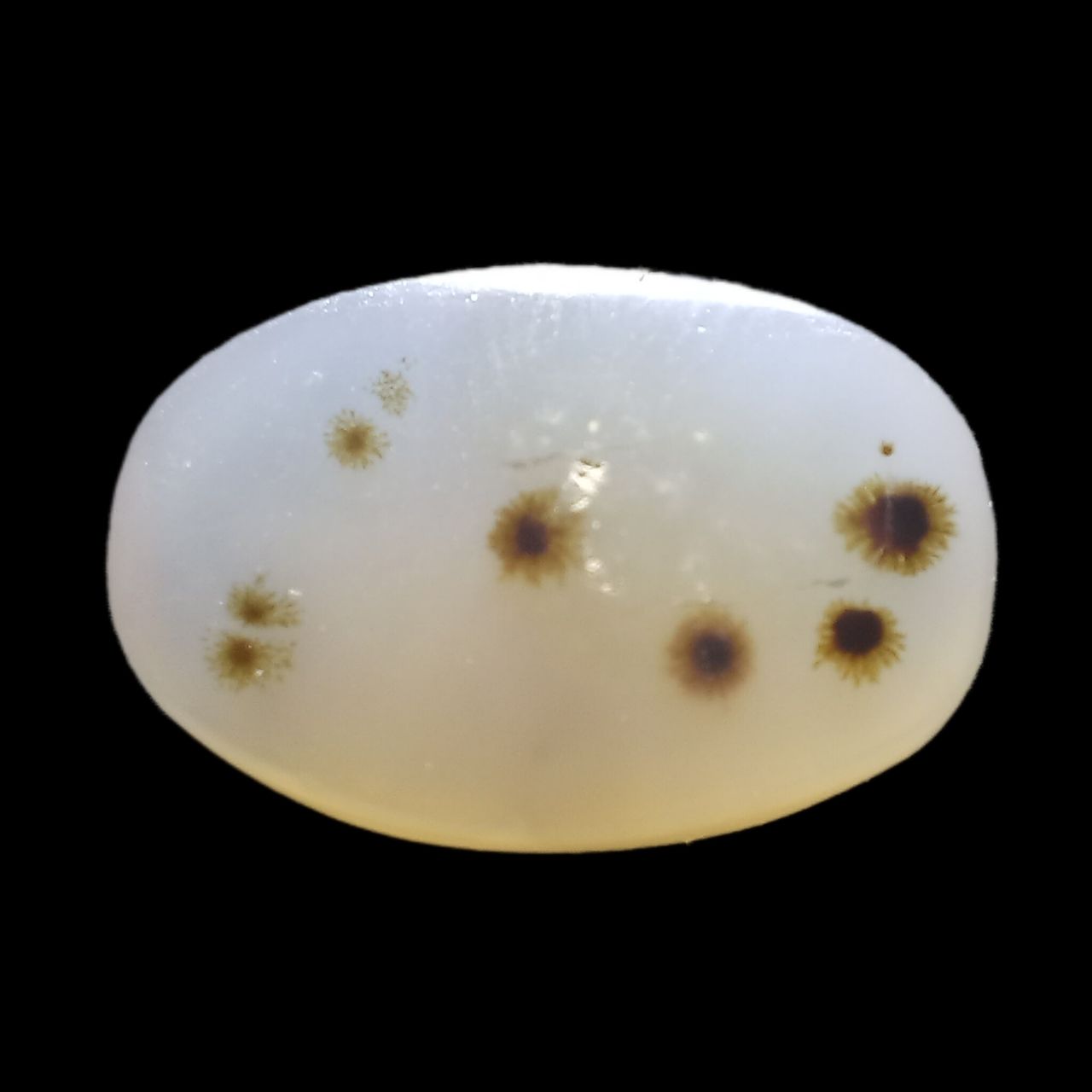 عقیق شجر قاصدکی