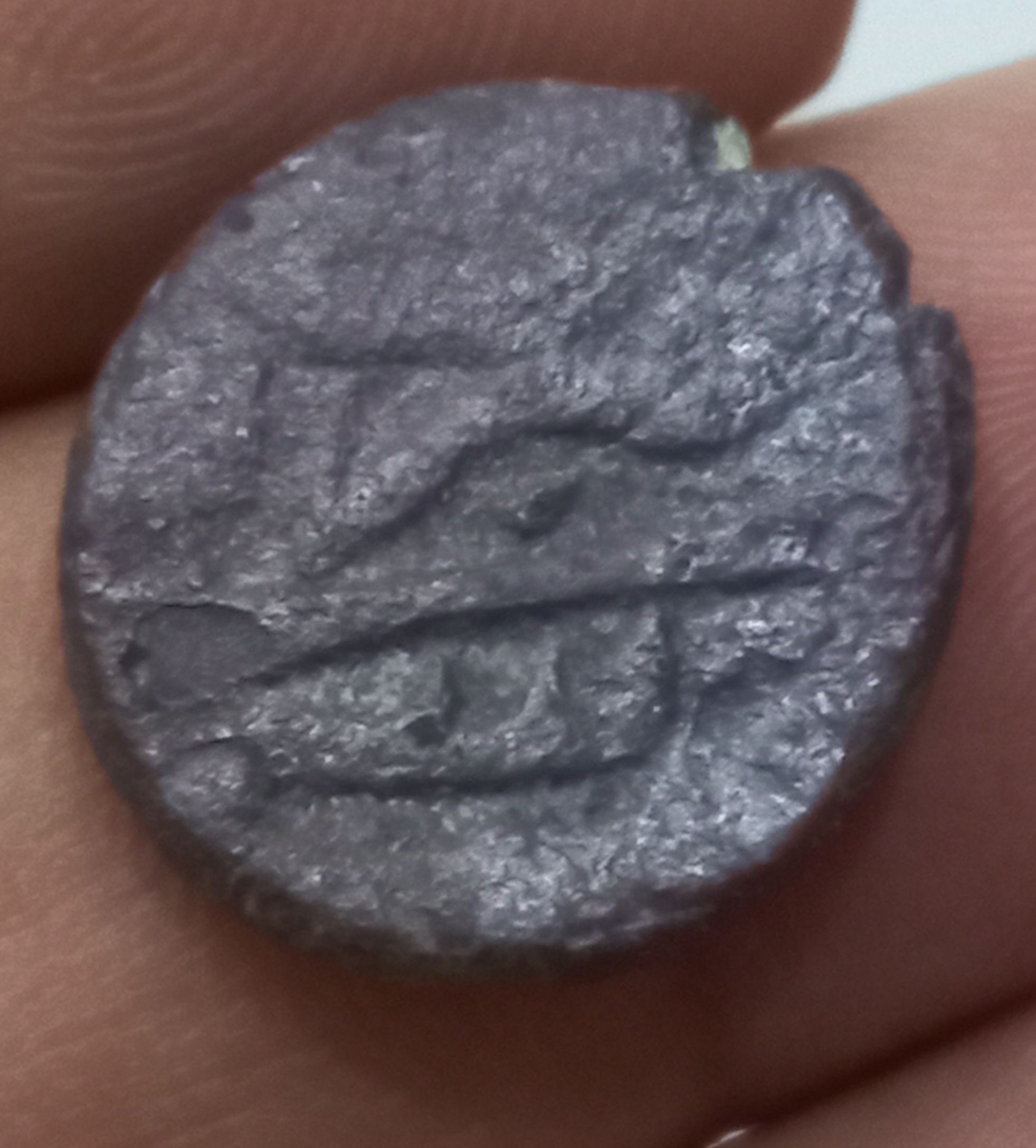 فلوس ضرب اصفهان با نقش شیر در حال شکار